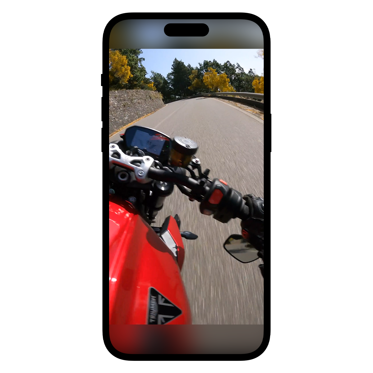 ULTIMATE Pack (Bundle)