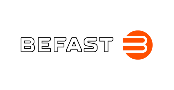 Mounts for BEFAST