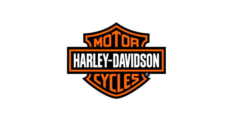 Mounts for HARLEY DAVIDSON