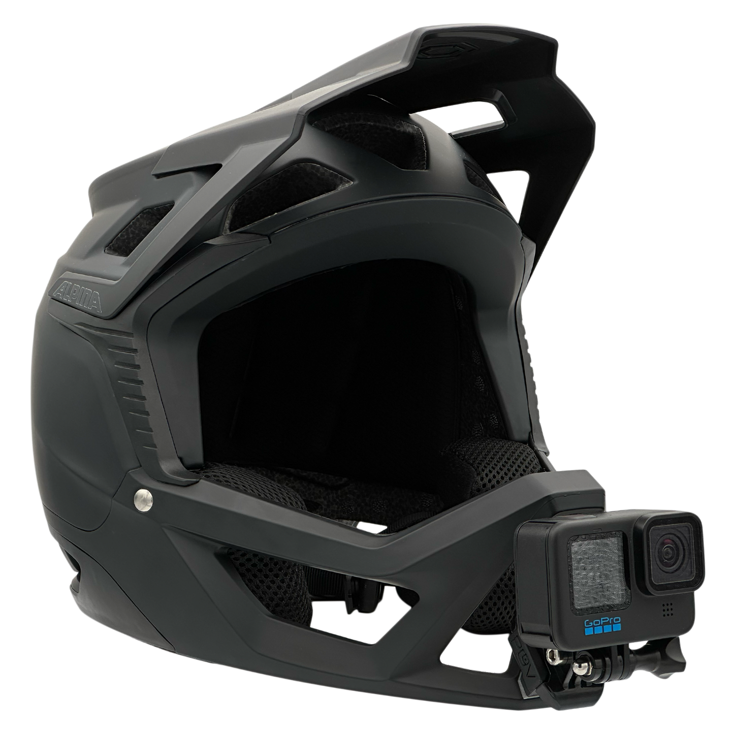 POV Mount for ALPINA ROCA