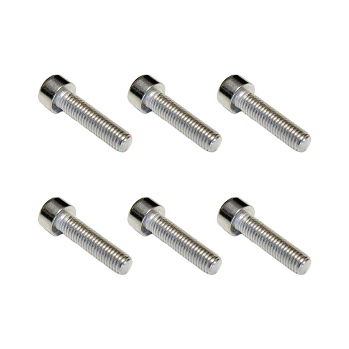 Low Profile Screws (6 Pack)