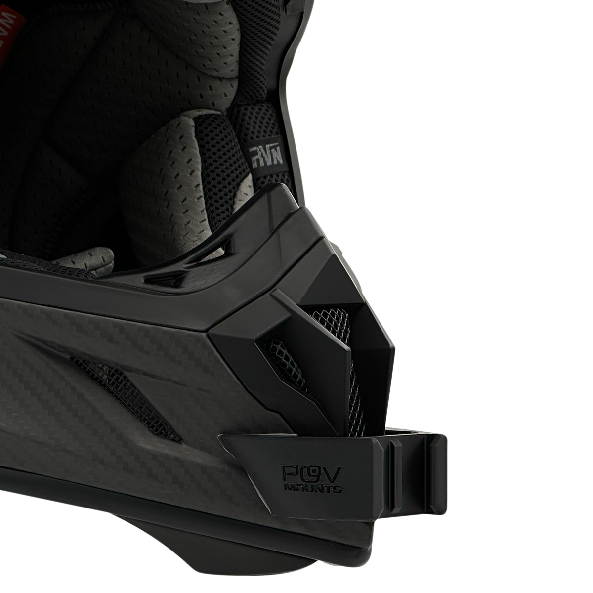 POV Mount for Raven Ipsum